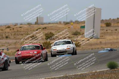 media/May-03-2025-Lucky Dog Racing (Sat) [[206de64b9d]]/Turn 6 (150pm-230pm)/